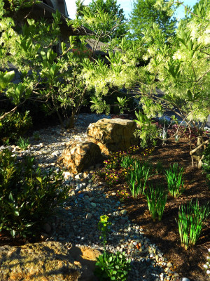 914 Stenger 10 BracN Garden Boulder Sculpture 5-15 (25)